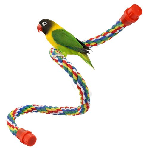 Bird Rope Perches for Parrots, Cockatiels, Parakeets, Budgie Cages Comfy Birds Colorful Rope Toy (31.5inch Plastic nut)