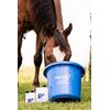 Show FresH2O Water Treatment for Horses