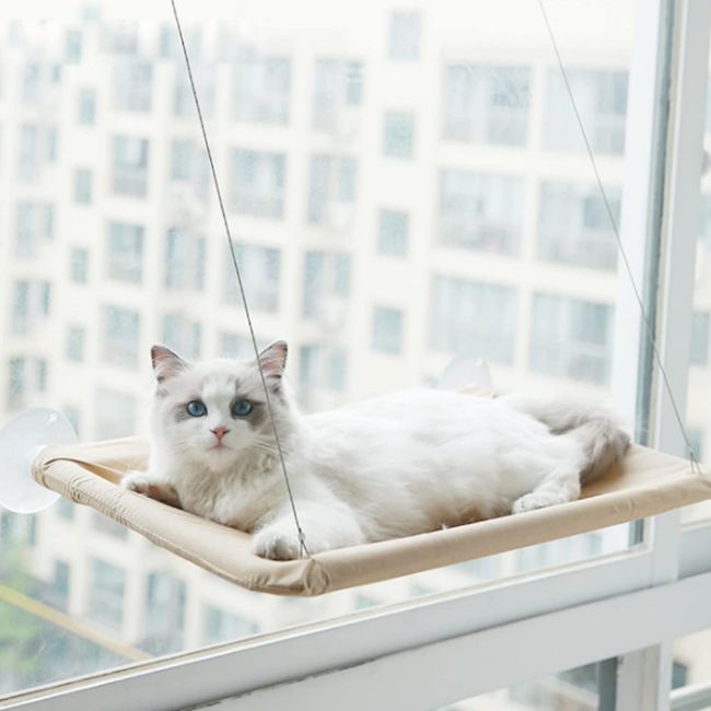 Ruining Katzen Fensterplatz Window Lounger Fenster Katzenhängematte für Katzen Extra Stabiler Sonnenbad Katzenbett Haustierbett für Haustier Katze klein Hund Kaninchen oder andere Kleintie