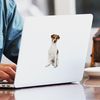 CafePress Jack Russell Terrier Rectangle Sticker Rectangle Bumper Sticker Car Decal