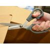 Clauss 18081 8-Inch Titanium Bonded Ultra Flex Bent Shear - Grey