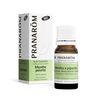Pranarom Peppermint BIO Chemo Type Essential Oil 0.3 fl oz (10 ml)