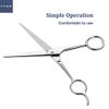 Inge Hairdressing Scissors Hair Scissors Barber Scissors Hair Cutting Scissor Professional Hair Scissors (Silver)