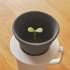 Ash Concept Kinome DA-1320 + d Toad Semic Coffee Filter