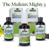 Natural's Answer MulleinX Multi-System Cough Syrup, 120 ml