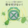 Alphax Bug Repellent, Stop! Beetbug! 1 Piece, Effective Approximately 60 Days, Made in Japan
