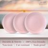 Silver Spoons DISPOSABLE PLASTIC DESSERT PLATES | Opulence Blush | 10 pc - 7.5”