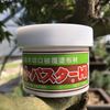 Bonsai Cut Paste for deciduous Trees - 160gm