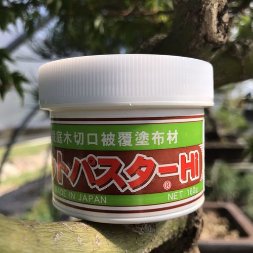 Bonsai Cut Paste for deciduous Trees - 160gm