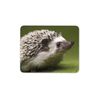 Cute Hedgehog Mouse Mat Pad - Kids Fun Animal Hog PC Computer #8246