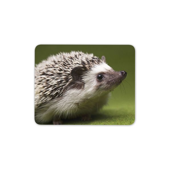 Cute Hedgehog Mouse Mat Pad - Kids Fun Animal Hog PC Computer #8246