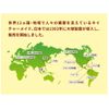 Otsuka Pharmaceutical Nature Made Super Vitamin D (1000 I.U.), 90 Tablets