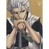 BLEACH 斬魄刀異聞篇 4 [DVD]