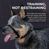 Canny Collar Red Size 3
