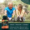 Laser Focus - Best Brain Supplement - Memory & Focus Productivity, Caffeine Free
