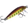 Rapala Countdown 3/16 Oz Fishing lure (Hot Mustard Muddler, Size- 2)
