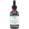 Native Remedies SciatiGon Medicine - 2 Fluid Ounce