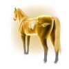 Equine America Hemogen Horse Blood Tonic Solution