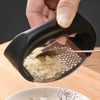Minced Garlic Chopped