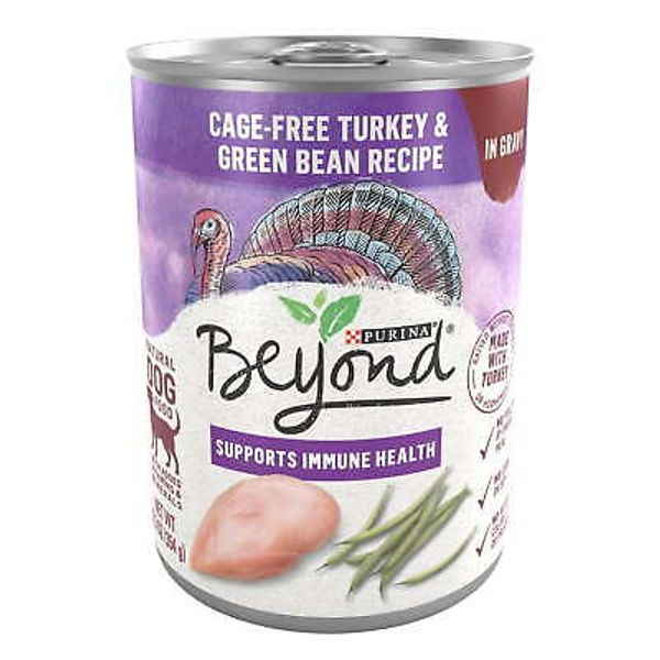 Beyond Immune Health Wet Dog Food Natural Soft Turkey & Green Bean