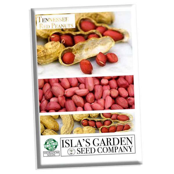 Tennessee Red Peanut Seeds for Planting, 20 Peanut Seeds Per Packet, (Isla's Garden Seeds), Non GMO Seeds, Botanical Name: Arachis hypogaea, Fun Home Garden Gift