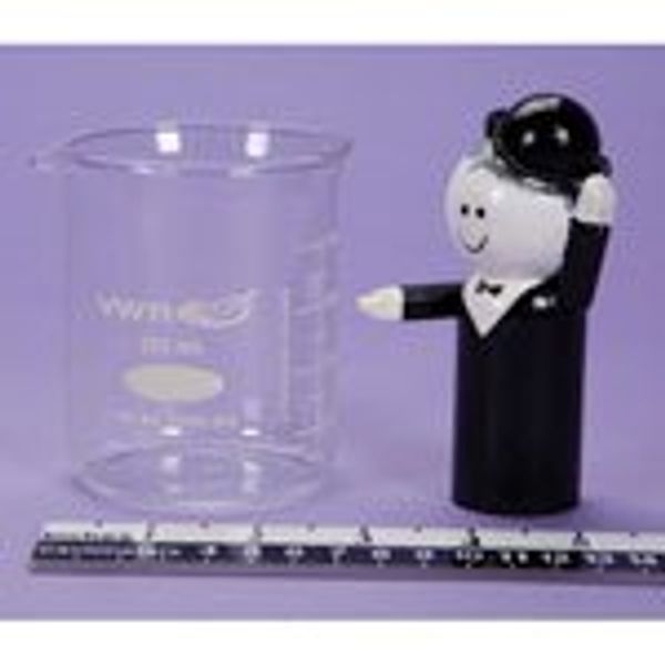 HCLS BEAKER GLASS with LIP - 250mL - Model 92228 - Each