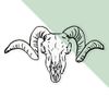Medium 210mm 'Ram Skull' Clear Static Window Cling Sticker/Decal (Black) (WC00050135)