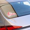 Custom Static Cling Window Stickers on A4 Sheets - Personalised Window Decal - Window Sign (4 x A4 Sheets)