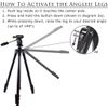 80 Inch Camcorder Tripod + Dolly for DSLR Cameras/Camcorders