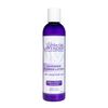 Lavender Flower Lotion