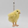 Key Chain Chick No. 6467