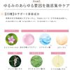 CEFINE IYORI Upstick X50 Refill 30ml