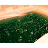 Kids Dino Bombs Dinosaur Bath Bombs - Fun XL Bathbombs for Kids - 5 Ounces Each - Kids Bath Fizzers - Turns Kids Bath Water Murky Green - 2 Pack