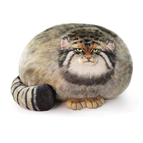 Cat Plush Body Pillow 45cm/18inch, Pallas Cat Stuffed Animal, Steppe Cat Cute Plushies for Girls, Soft Plush Pillow, Kitten Plush Throw Pillow Doll Big Plush Toy Decoration Doll Gift for Kids Boys