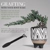 BambooMN Bonsai 2pc Set - 9" Root Pick and 9" Root Rake - 3 Sets
