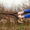 Premium Quality Speed and Strength Training Resistance Harness System
