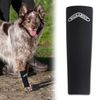 WALKABOUT Canine Compression Sleeve (Black, MED/Large