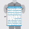 QuickFit Stretching Workout Exercise Poster - Stretch Routine (Laminated, 18in x 27in) for Playroom