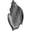 Black Clay Mask - 100ml
