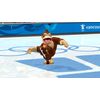Mario & Sonic at the Olympic Winter Games (Wii)