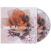 beautifulgarbage (20th Anniversary)[Deluxe 3 CD]