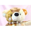KAWAII Bear Chocolate M