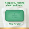 Irish Spring Original Deodorant Soap 3 Bars, 2 Pack (6 Total)