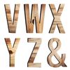 Japanese Wooden Alphabet Object, Extra Large 9.8 inches (25 cm) (E)