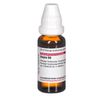 DHU Sepia D8 Dilution, 20 ml Lösung