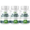 Healthy Flow Blood Support, Cardiovascular Circulation - 3 Bottles Official