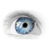 vision supplements - EYE VISION GUARD - eye supplement 2 Bottles 120 Softgels