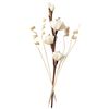 abiducns Reed Diffuser Sticks,Reed Diffuser Sticks Flowers,Reed Diffusers for Home,Bathroom Diffuser,Diffuser Set with Sticks,Natural Flower,White/Brown