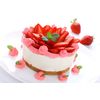 Patisse Profi Spring Form Pan 26 Cm.