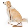 YUDOTE Soft Corduroy Dog Lead Medium,Coffee Brown